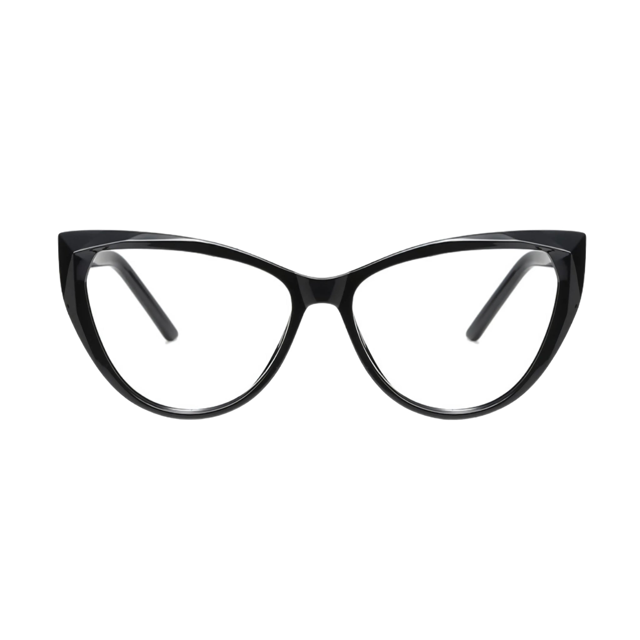 VisionGuard Pro