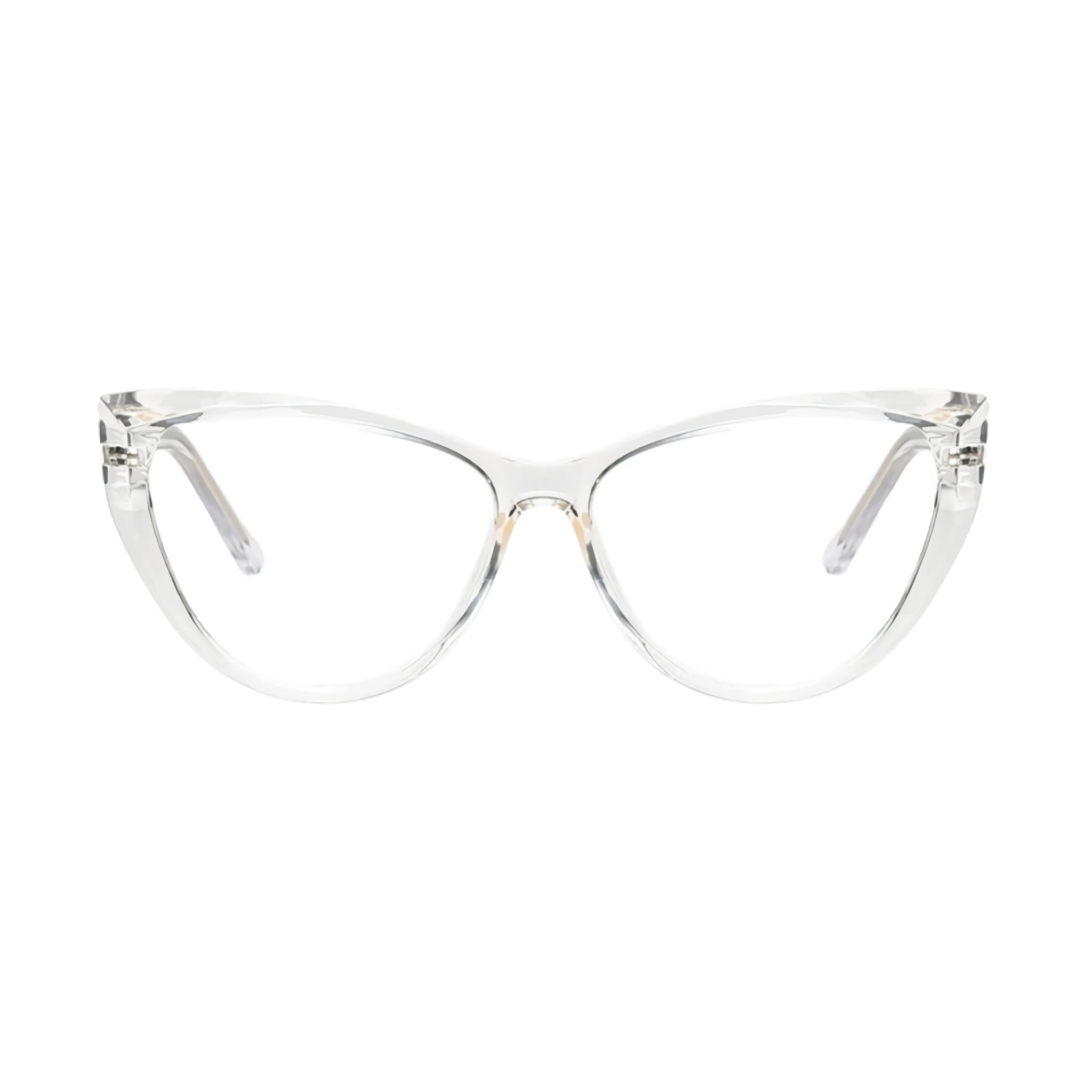 VisionGuard Pro
