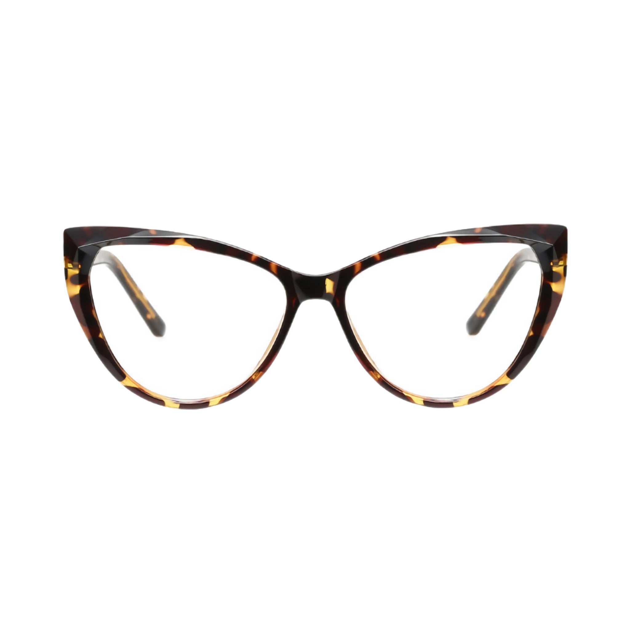VisionGuard Pro